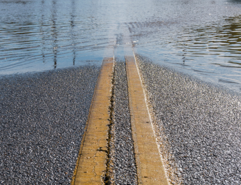 Navigating Flood-Damaged Vehicles